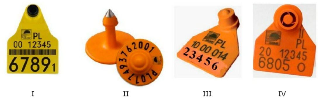 Zgodnie z obowiązującym prawem zwierzę ta hodowlane muszą mieć kolczyki.